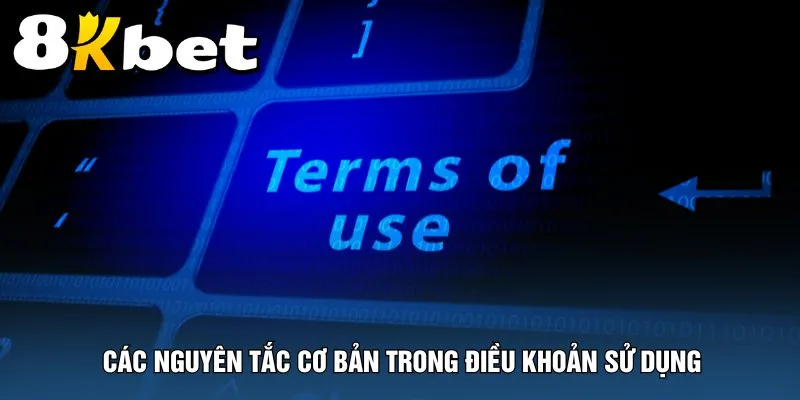 cac-nguyen-tac-co-ban-trong-dieu-khoan-su-dung